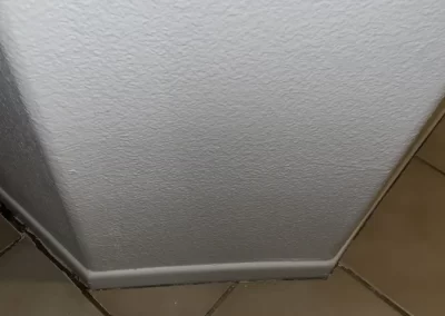 Skilled Cleaning Service Provider